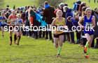 Girls Under-13s 2023 UK CAU Inter Counties Cross Country Champs, Prestwold Hall, Loughborough. Photo: David T. Hewitson/Sports for All Pics